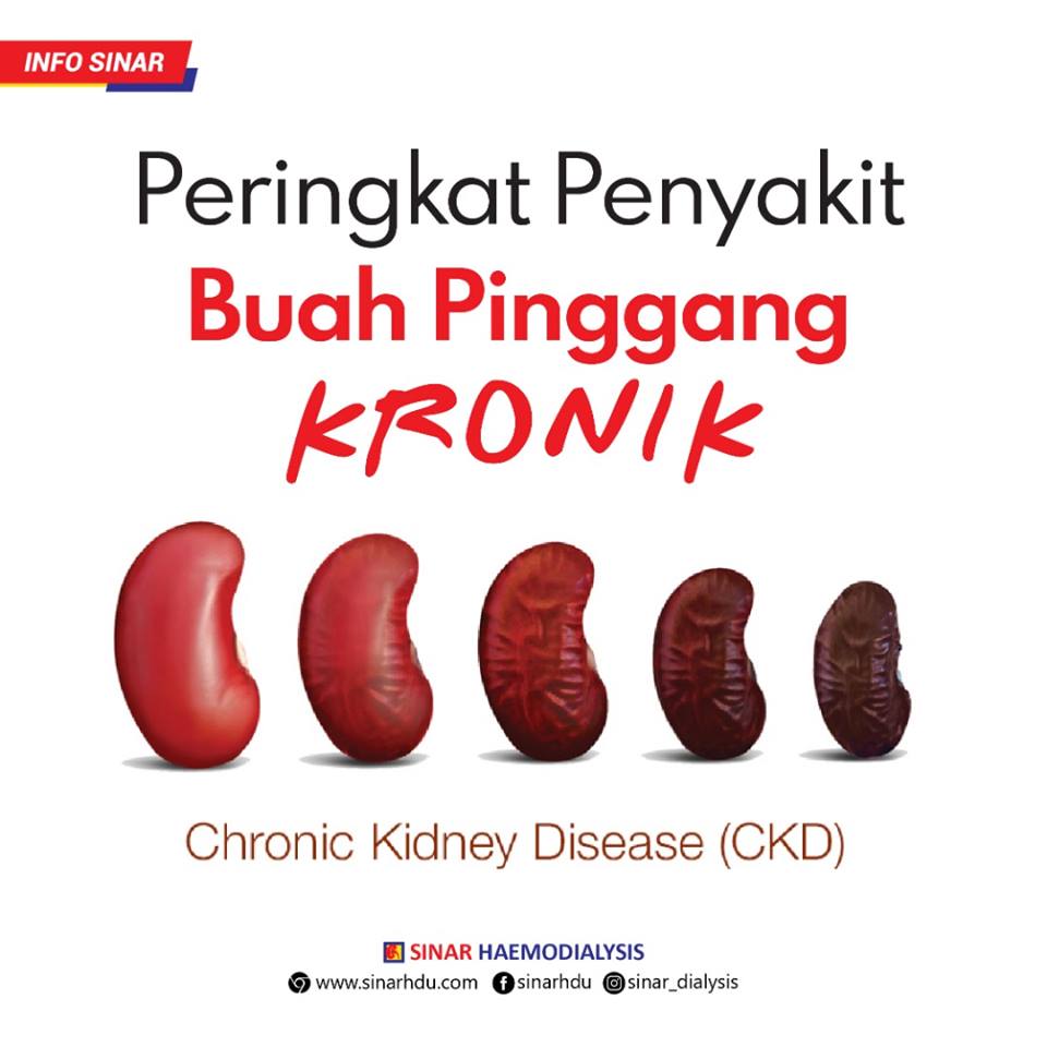 PERINGKAT PENYAKIT BUAH PINGGANG KRONIK