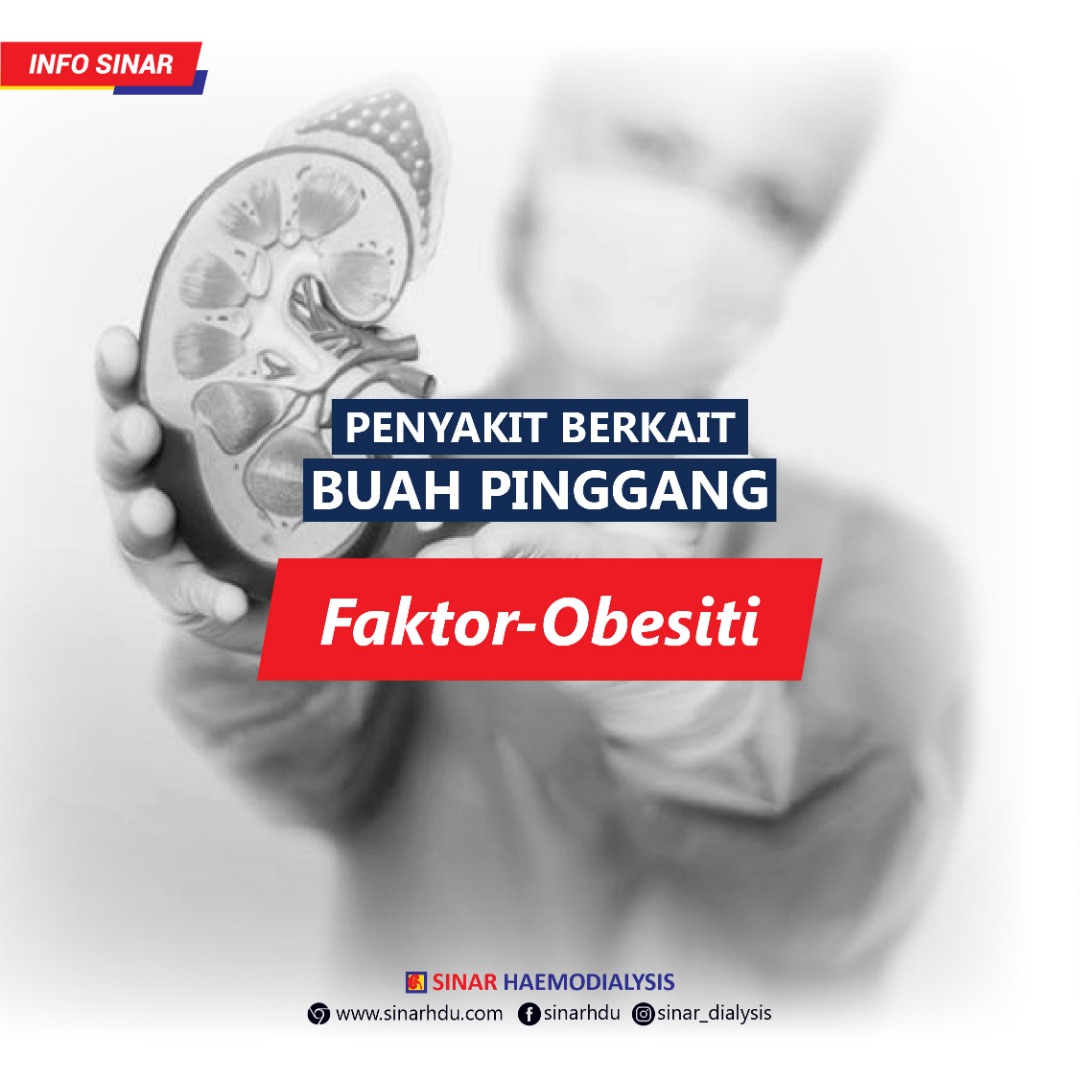 PENYAKIT BERKAIT BUAH PINGGANG BAHAGIAN 1 : Faktor - Obesiti